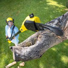 Best Tree and Shrub Care  in Friedens, PA