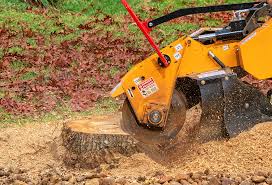 Best Tree Mulching  in Friedens, PA